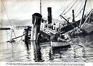 PO e- 491